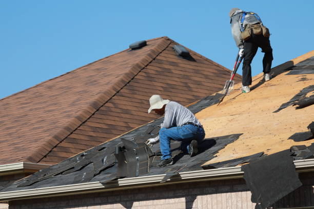 Best Chimney Flashing Repair  in Rockledge, FL