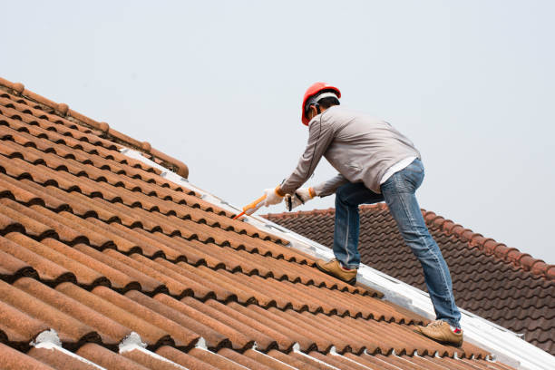 Best Roof Moss and Algae Removal  in Rockledge, FL